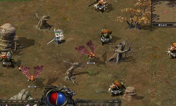 ���ֵܣ�������